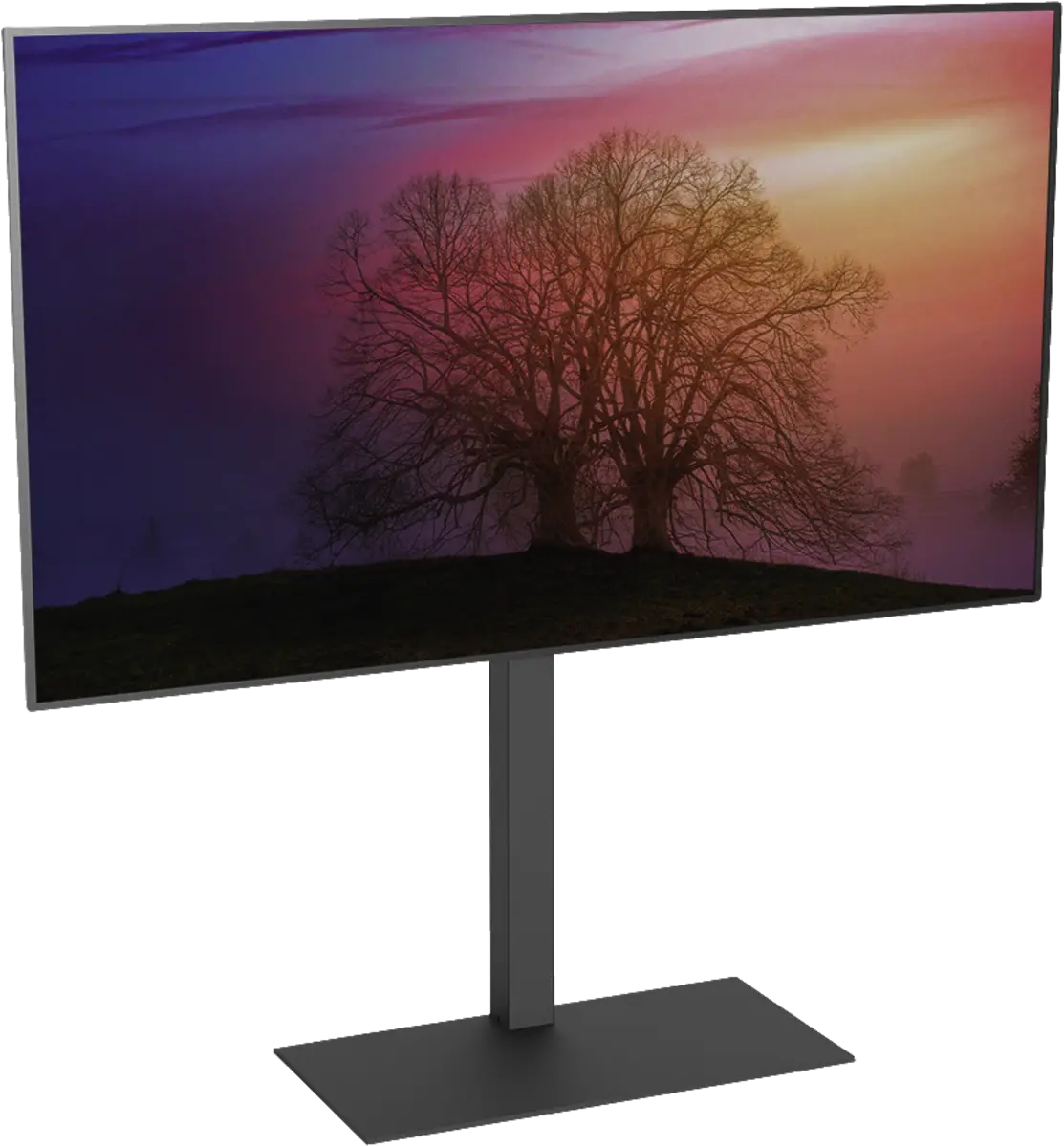 CAV-FS100 Draaibare TV Vloerstandaard FS100 Basic 37