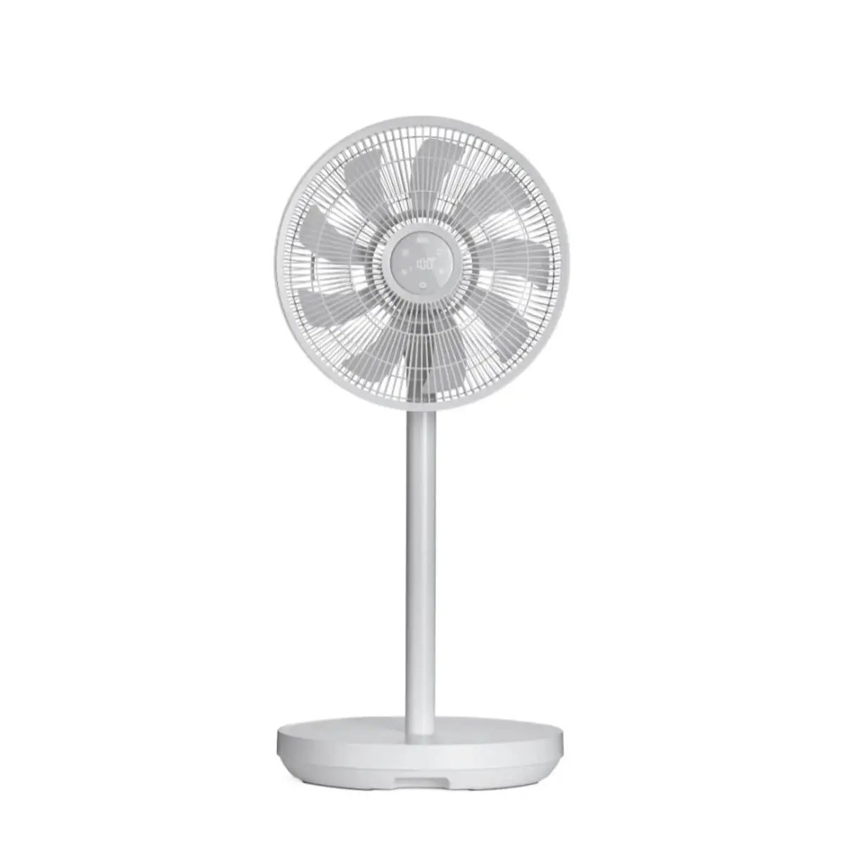Duo Fan (97062)