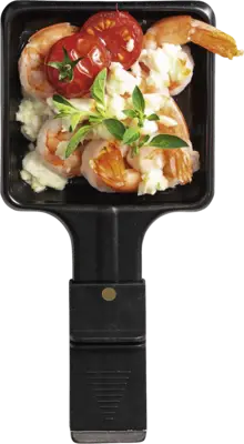 Fritel Raclette Pannetjes 2 st.voor RG 4180