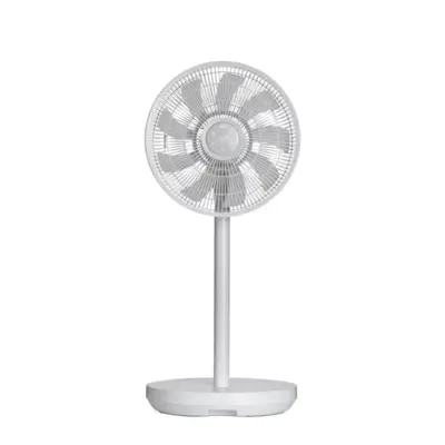 Duo Fan (97062)