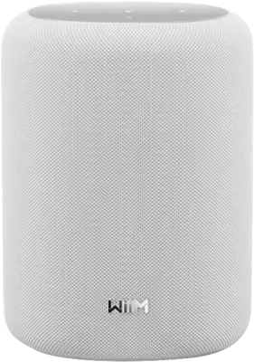 WiiM Sound Lite wit